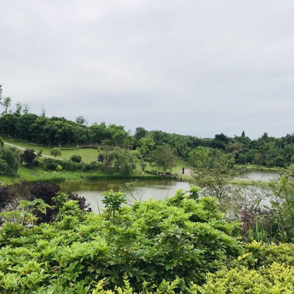 卧龙湖湿地公园图片