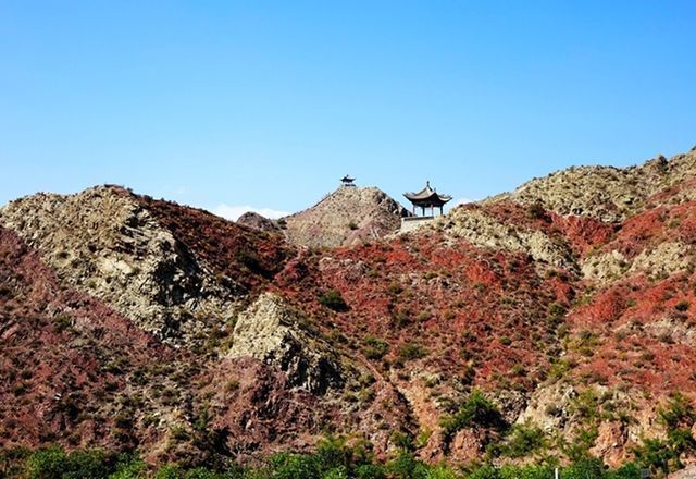 大武口森林公园图片