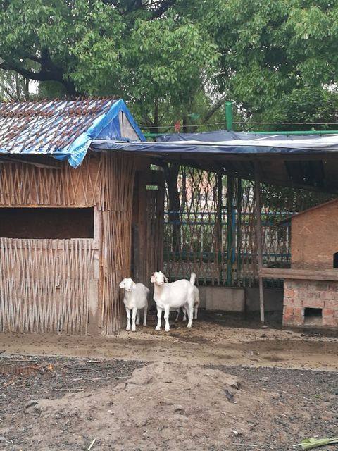 【沪松公路九亭农家乐】地址,电话,路线,周边设施_360地图