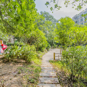 碧海湾花园图片