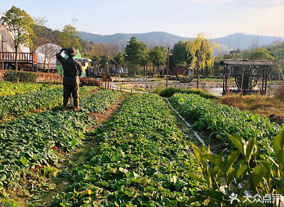 石塘人家农家乐
