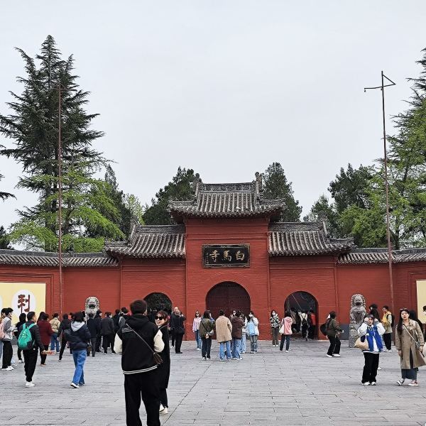 洛阳游玩打卡攻略,洛阳游玩攻略