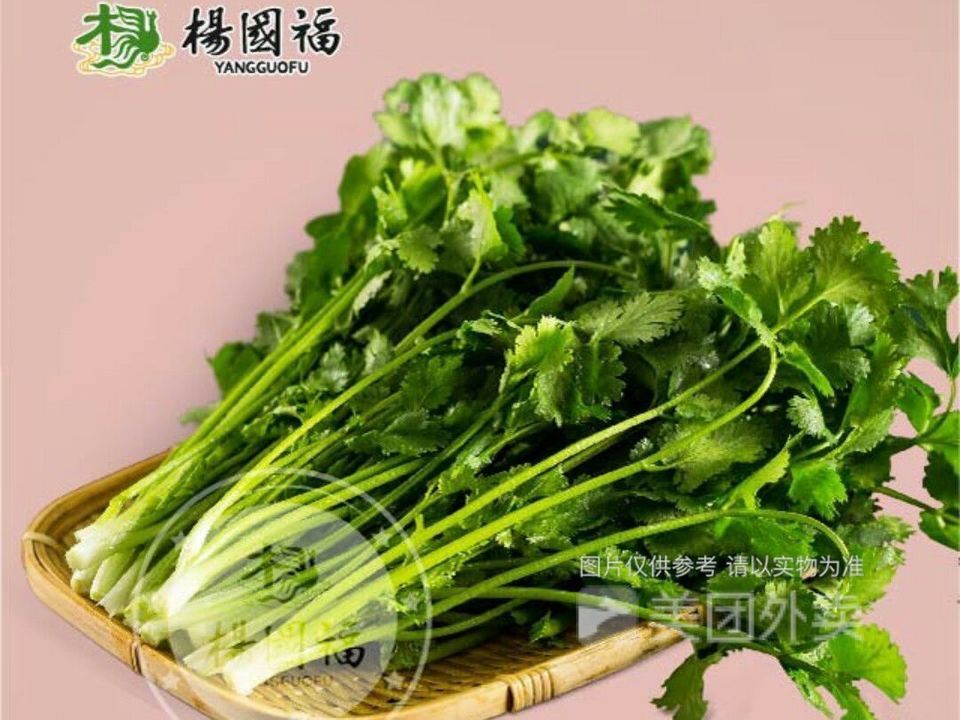 杨国福麻辣烫华林胡同