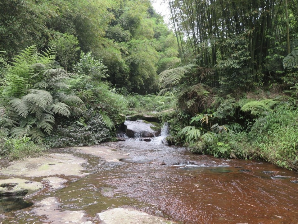 【蜀南竹海旅游景区】地址,电话,路线,周边设施