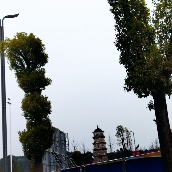 狮子山公园图片