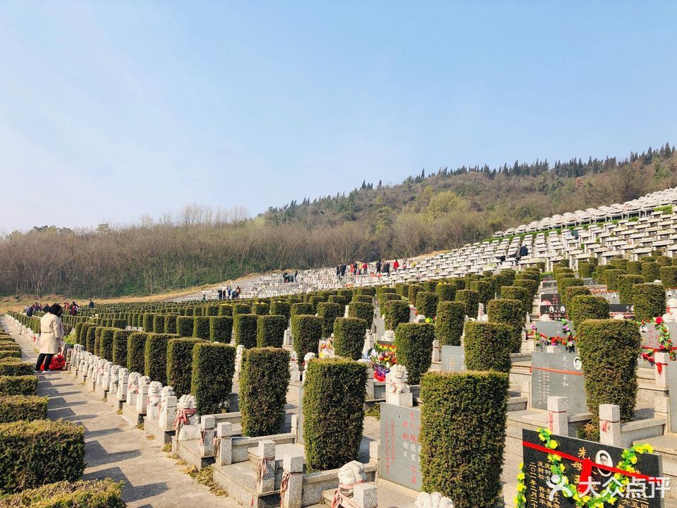 普觉寺墓园图片