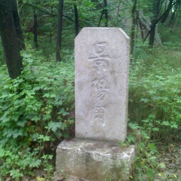 一什么而什么景阳冈 t01895eea6389c28fe4.jpg