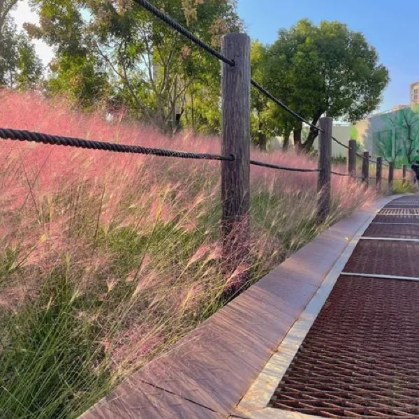 携程用户:彩虹湾公园位于虹口区,近宝山区,出行很方便,虽然公园不大