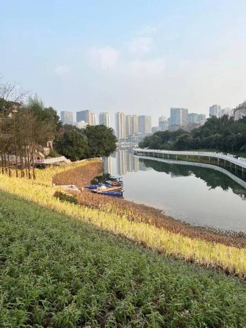 怎麼去,怎麼走,在哪,在哪裡,在哪兒):重慶市渝北區紅楓路渝高兩江花木