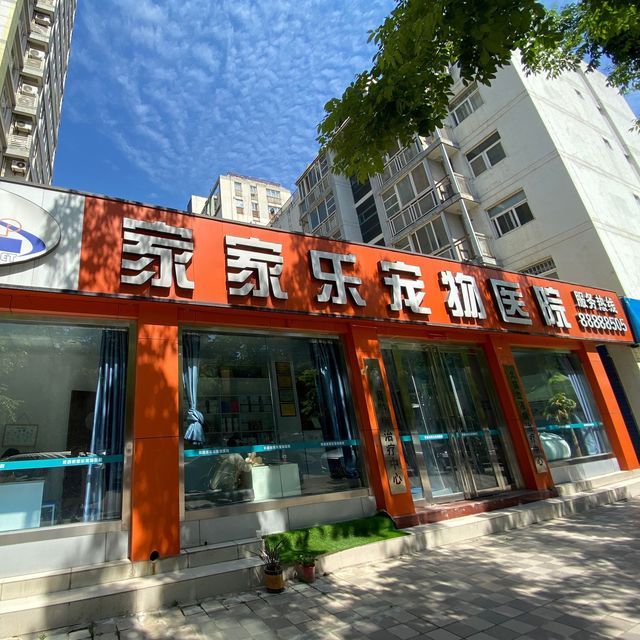 家家乐宠物医院图片