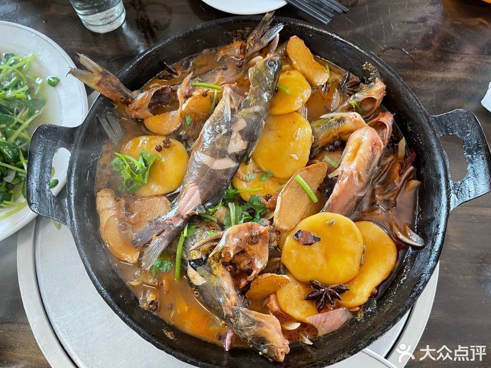 铁锅葛鱼图片