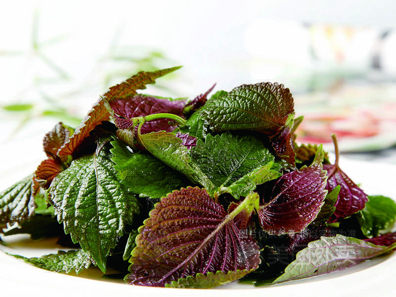 青椒紫苏味图片