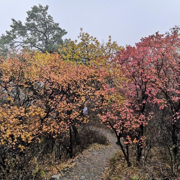 【白銀坨風景區】白銀坨風景區門票,白銀坨風景區遊玩攻略_360地圖