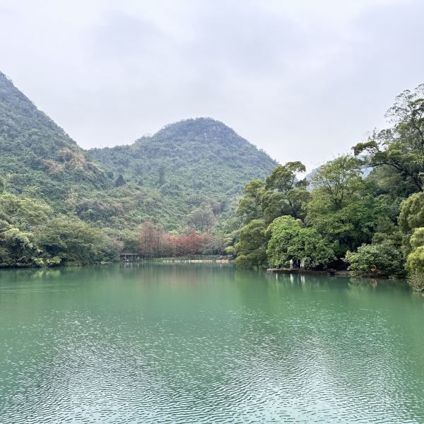 文山大龙潭风景区图片