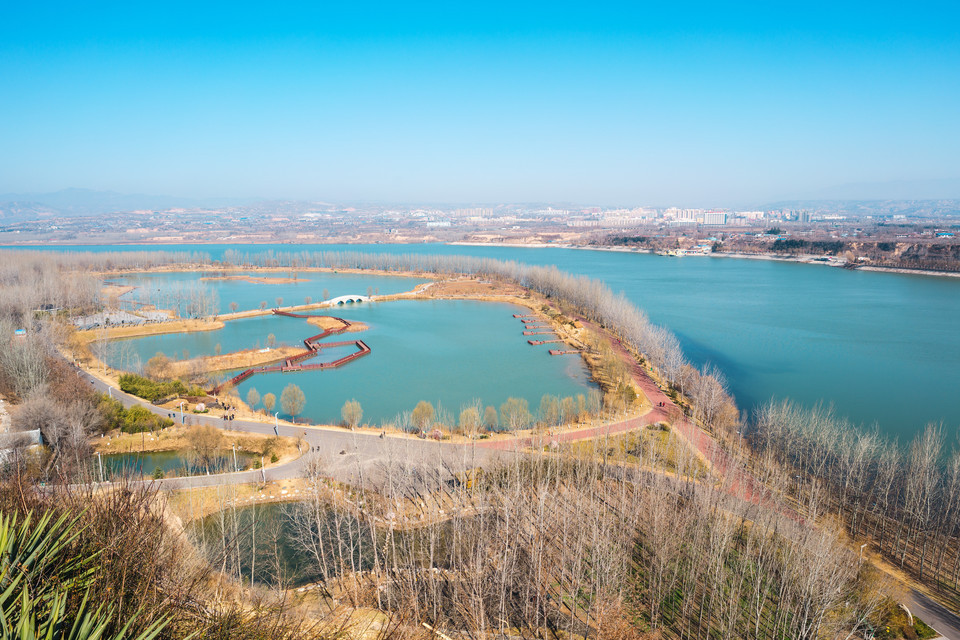 黄河森林公园图片
