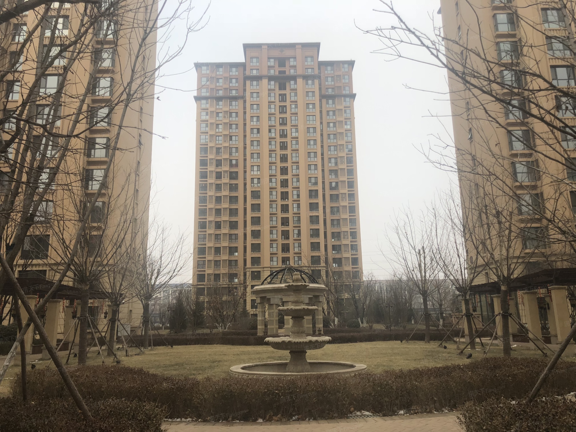 远洋香奈图片