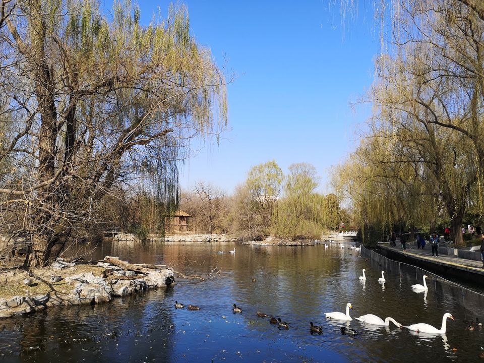 清华大学有什么湖