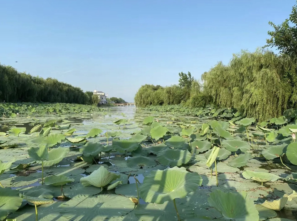 【潜江】地址,电话,路线,周边设施_360地图