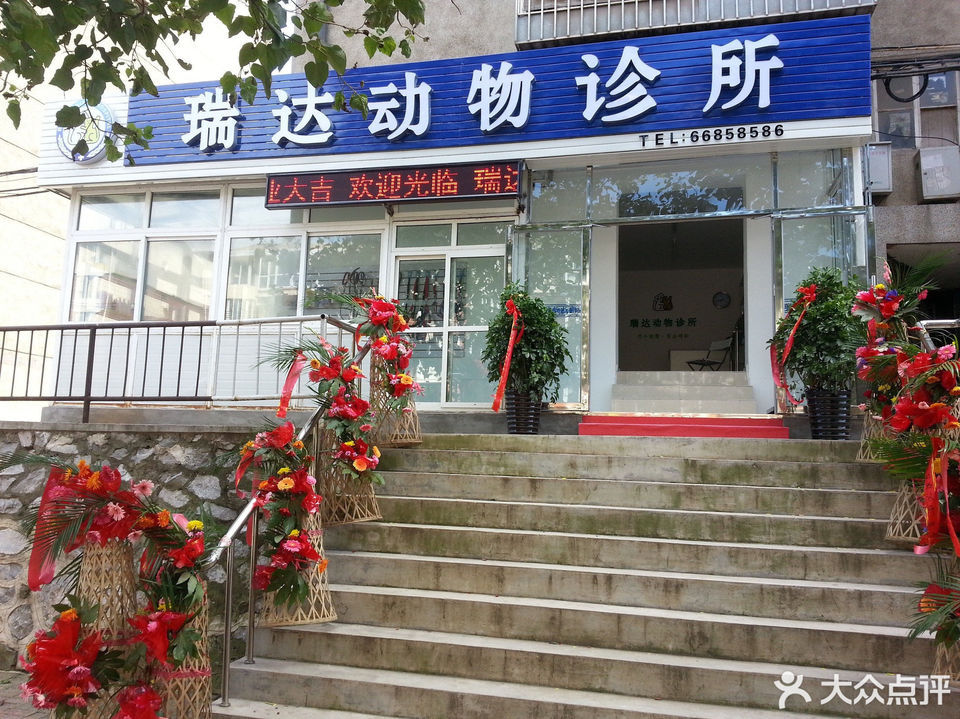 瑞达动物医院图片