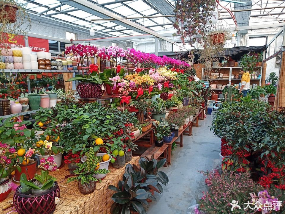花卉市场鲜花店