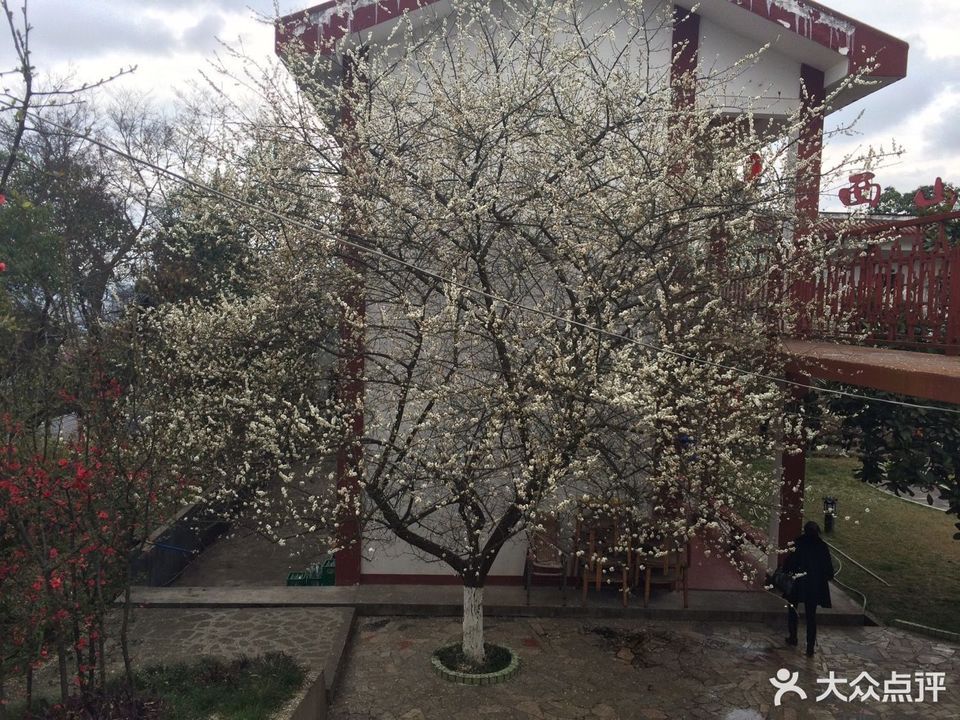 开云体育 Kaiyun.com 官网入口【农家乐】地址电话路线地图(图4)