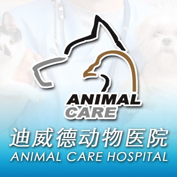 迪威德动物医院(24小时鸟巢店)图片