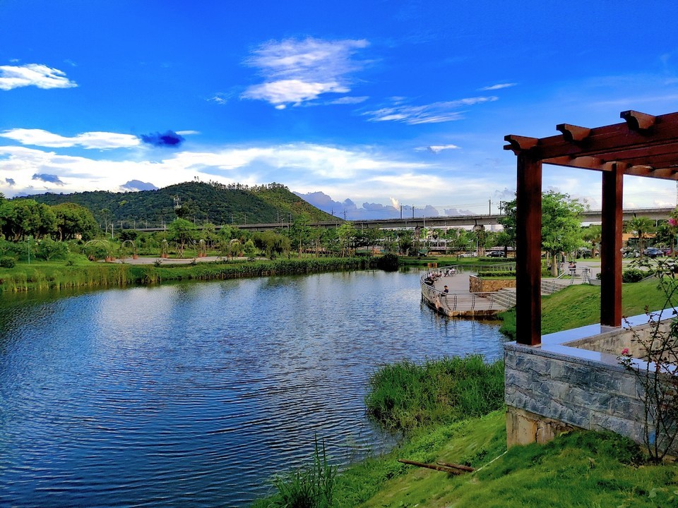 深圳大南山森林公园