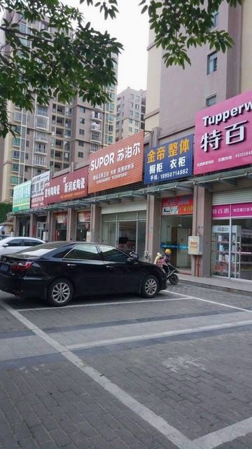 金帝整体图片
