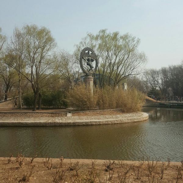 宁陵县以后最大的公园图片