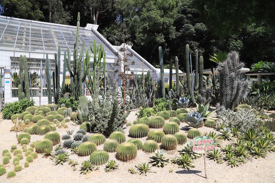 荫生植物园景区图片