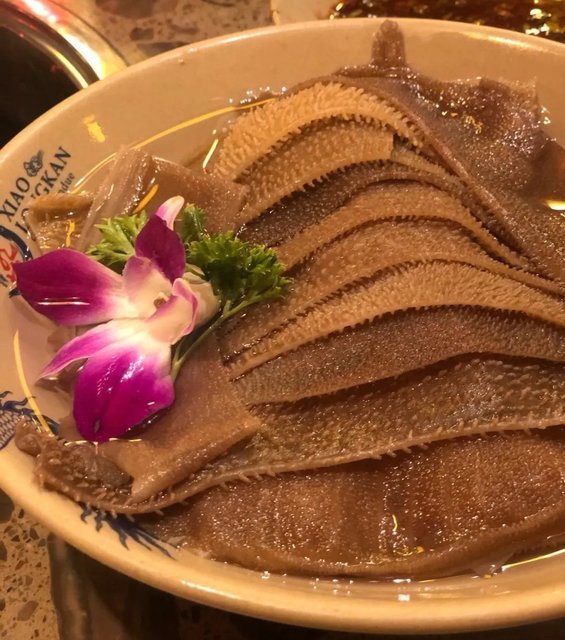 推荐菜:介绍:地址(在哪里):小龙坎火锅(吕四港店)位于南通市启东市