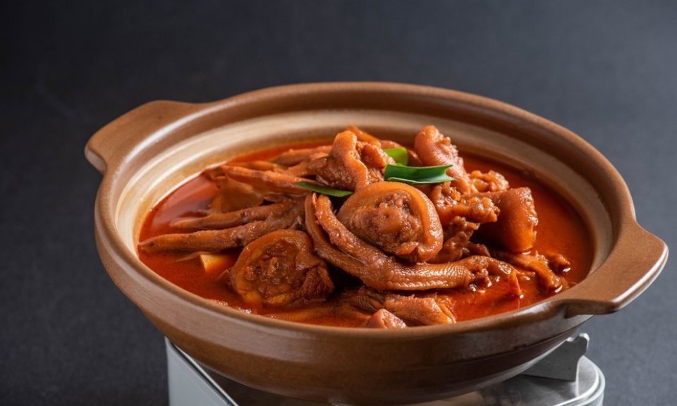 鸭掌炖猪尾巴砂锅图片