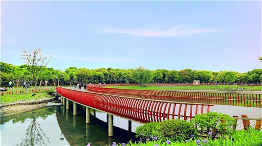 上海松江免费公园图片