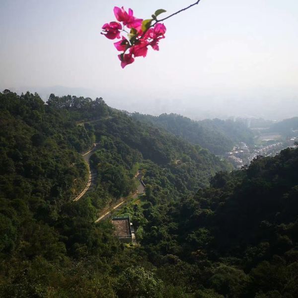 鸡公山七圣宫