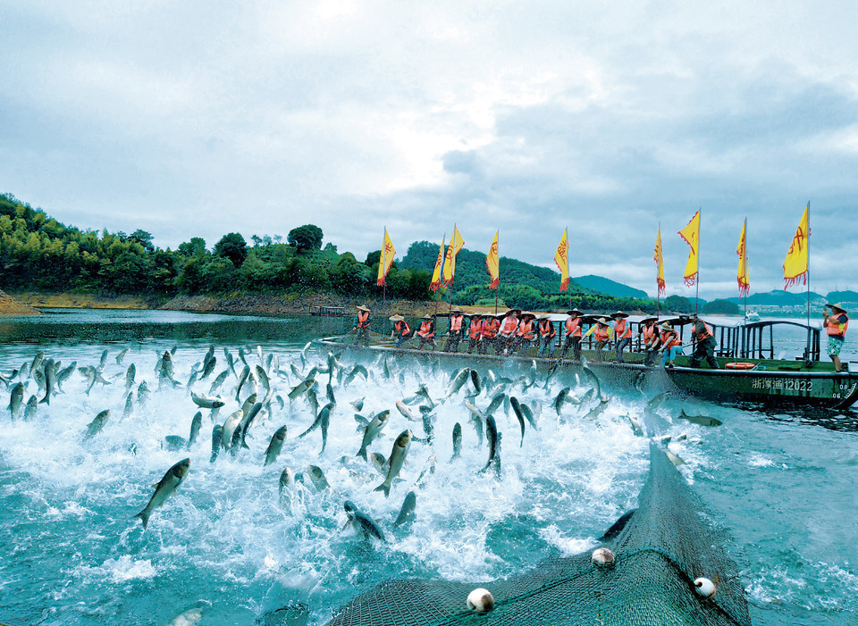 千岛湖钓鱼岛图片