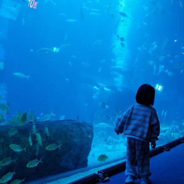 正佳极地海洋世界