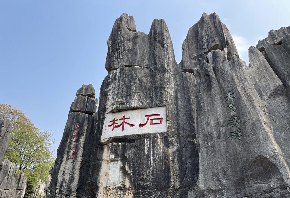 地址(在哪里):奇风洞位于昆明市石林彝族自治县石林街道石林风景区