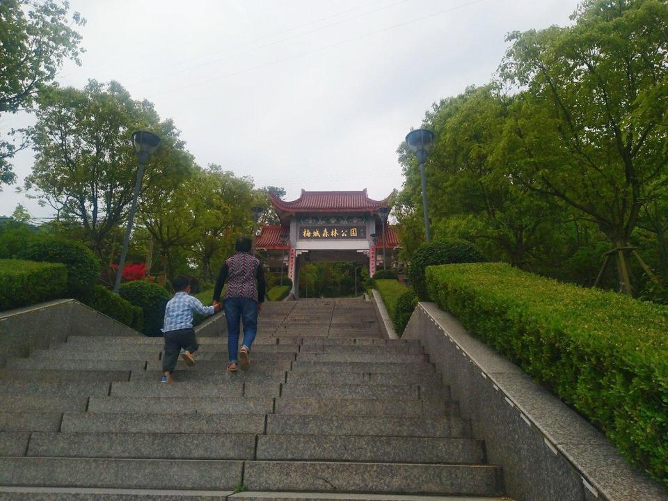 福州森林公園開放