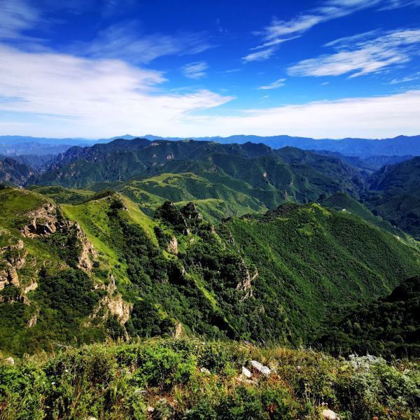 黄草梁风景区图片