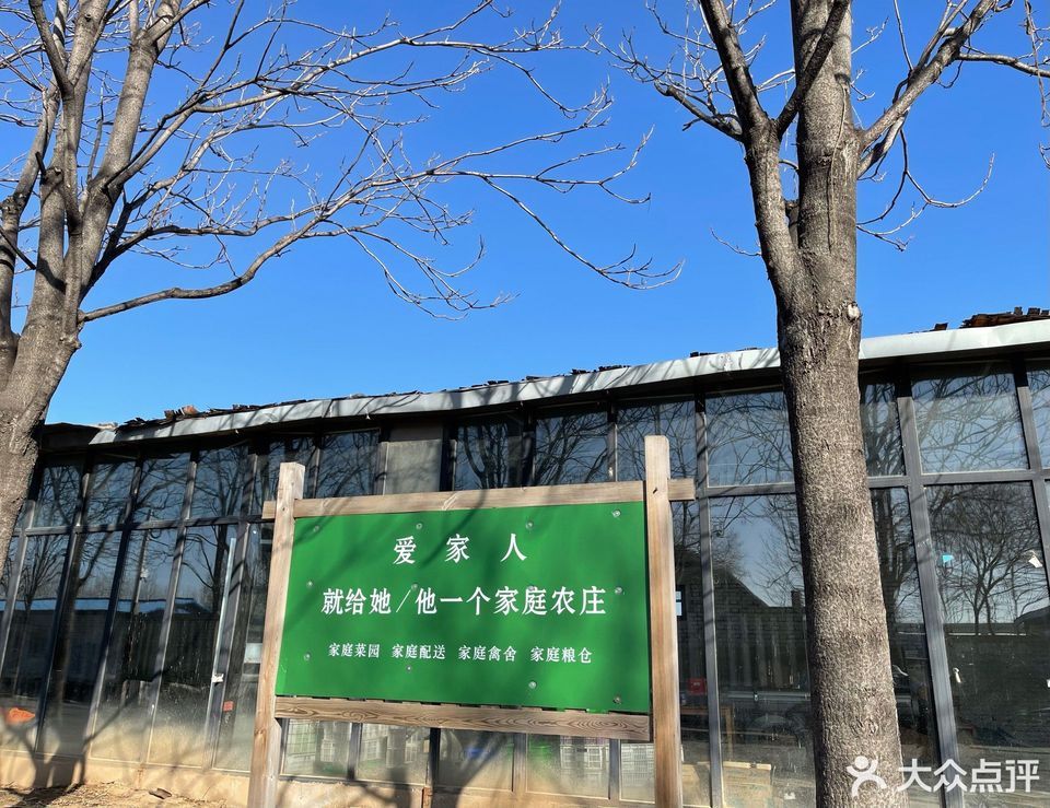 安妮农庄图片