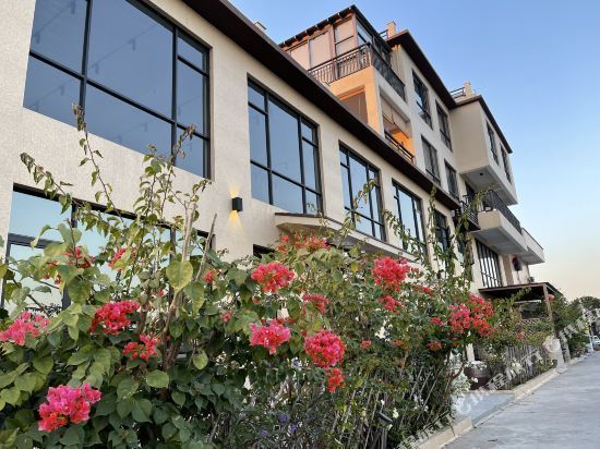 江门新会柑璞居陈皮主题果园民宿图片