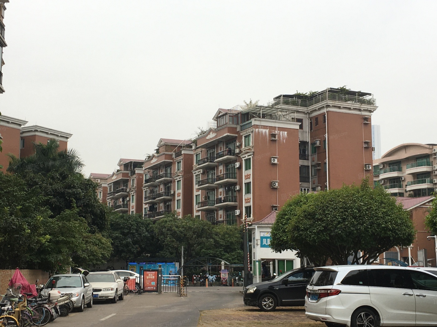 广州碧桂园雅苑图片