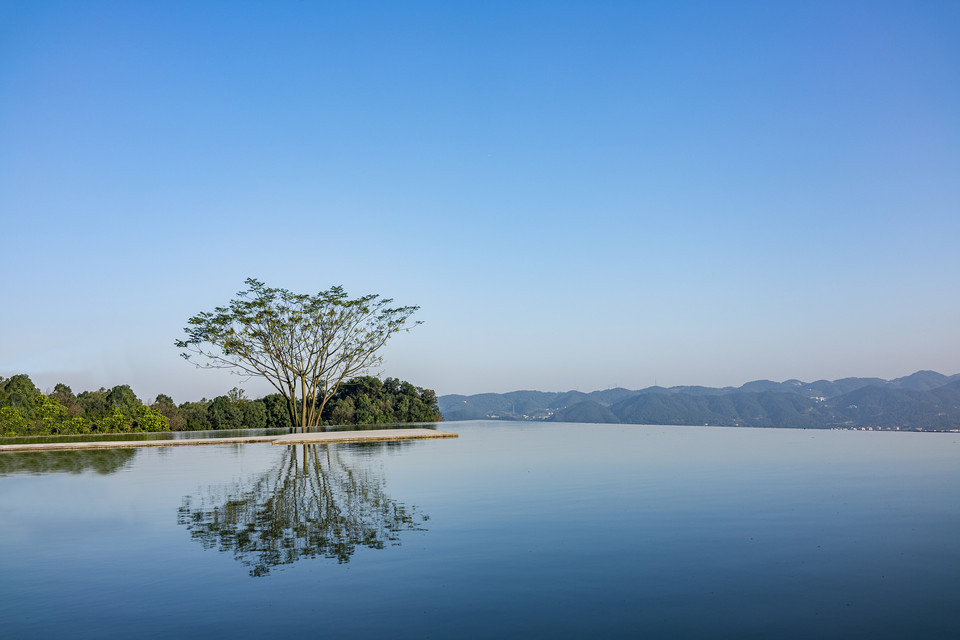 寨山坪森林公园图片