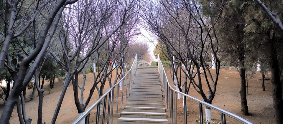 【大连南关岭骆山公墓】地址,电话,路线,周边设施_360地图