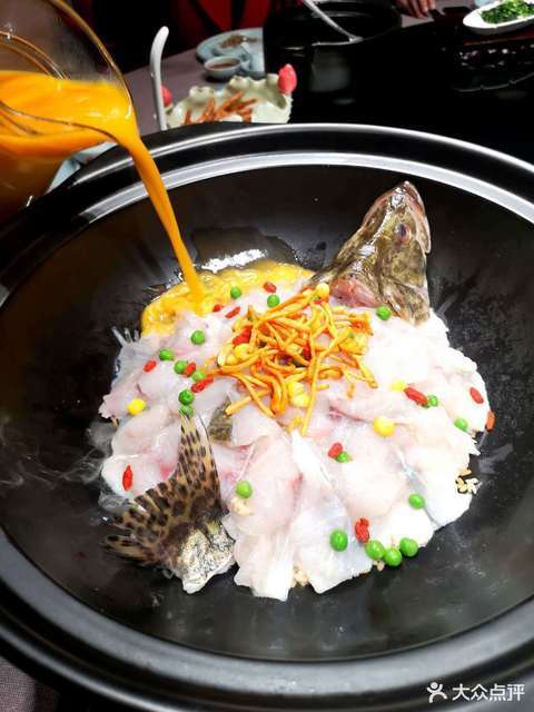 神仙冲浪鱼图片