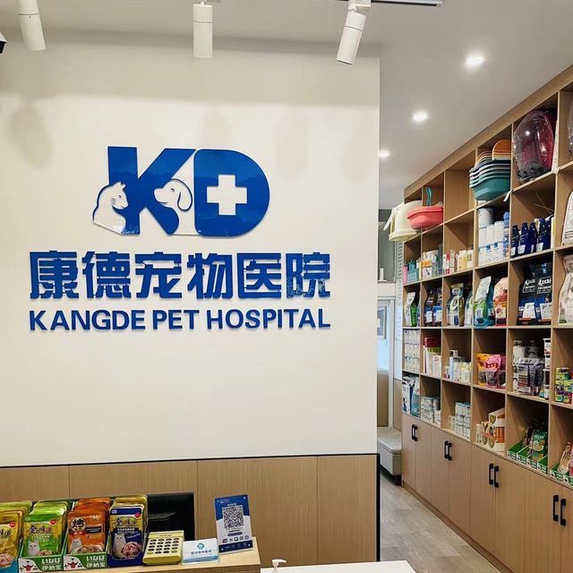 康德宠物诊所图片