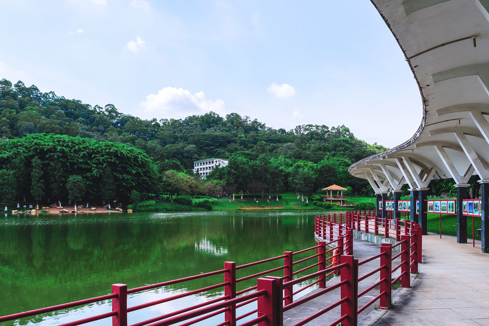 七星岗公园图片