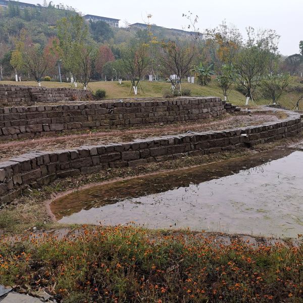 金海湾公园图片