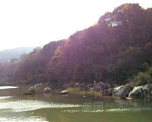 东港武岭湿地公园图片