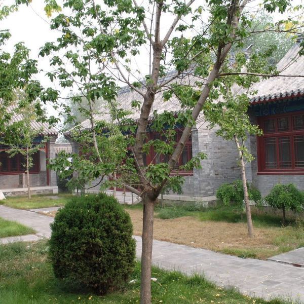 携程用户:将军府又叫郜家大院,由東城门边往南走不久,就到将军府,旁边